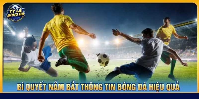 Bí quyết nắm bắt thông tin bóng đá hiệu quả 