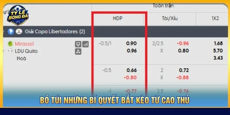 Bỏ túi những bí quyết bắt kèo từ cao thủ