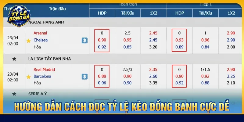 Cách tính tiền tỷ lệ kèo đồng banh là gì cho người mới