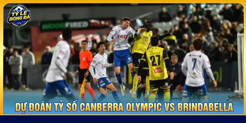 Cần biết thế trận nhận định Canberra Olympic vs Brindabella