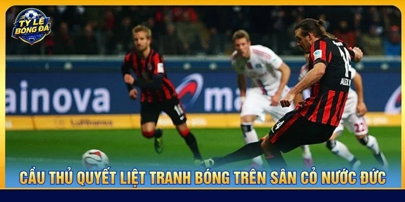 Cầu thủ quyết liệt tranh bóng trên sân cỏ nước Đức