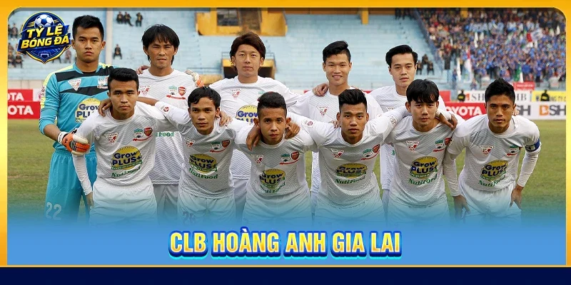 CLB Hoàng Anh Gia Lai Và Dấu Ấn Lịch Sử Bóng Đá Phố Núi