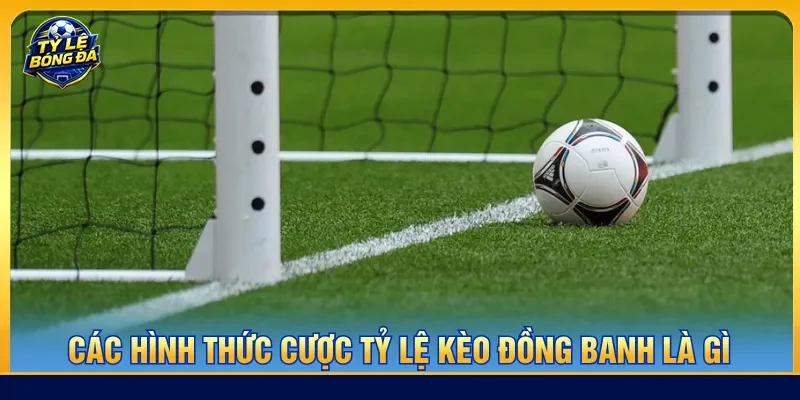 Đa dạng hình thức cược với cách đọc bảng chi tiết dễ dàng