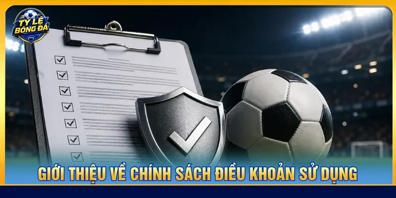 Điều khoản sử dụng cập nhật các quy định tại nền tảng