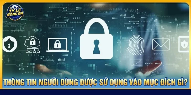 Dữ liệu có thể được sử dụng để đánh giá hiệu suất truy cập