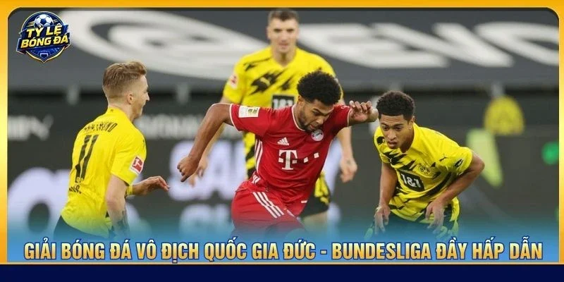 Giải bóng đá vô địch quốc gia Đức - Bundesliga đầy hấp dẫn