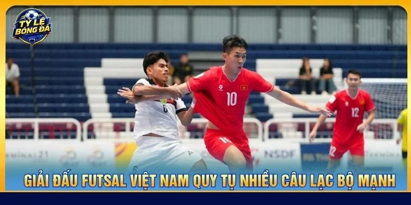 Giải đấu Futsal Việt Nam quy tụ nhiều câu lạc bộ mạnh