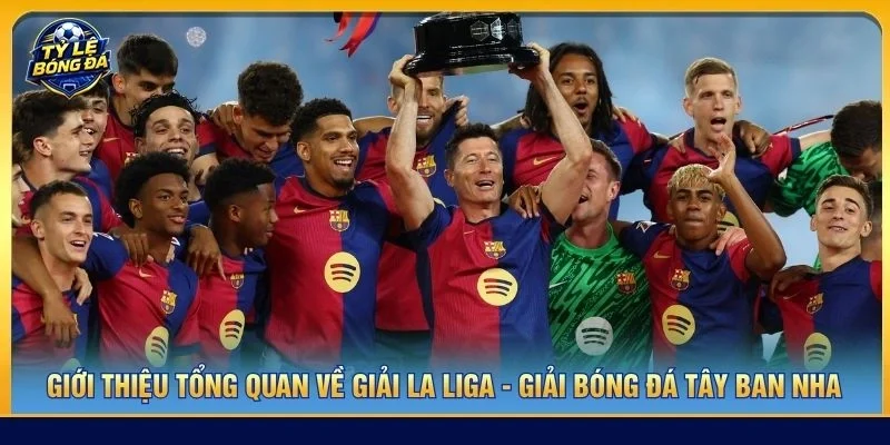 Giới thiệu tổng quan về giải La Liga - Giải bóng đá Tây Ban Nha