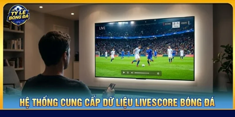 Hệ thống cung cấp dữ liệu Livescore bóng đá