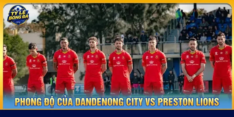 Nhận định Dandenong City vs Preston Lions phân tích phong độ