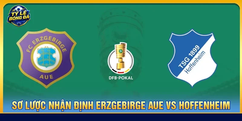 Nhận định Erzgebirge Aue vs Hoffenheim tình hình trận đấu