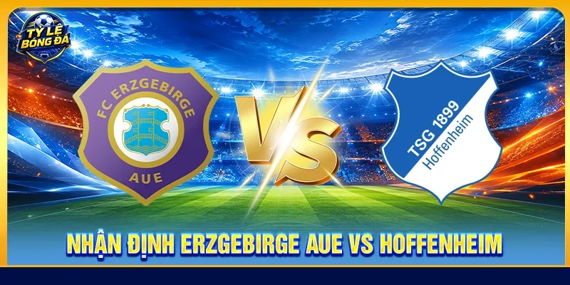Nhận định Erzgebirge Aue vs Hoffenheim