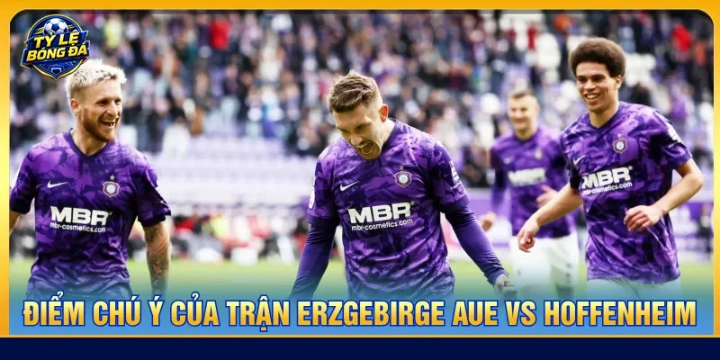 Soi kèo dễ dàng với nhận định Erzgebirge Aue vs Hoffenheim