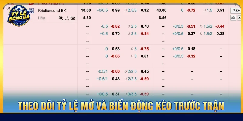 theo dõi tỷ lệ bóng đá kèo nhà cái trước khi cược