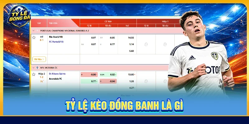 Tỷ lệ kèo đồng banh là gì