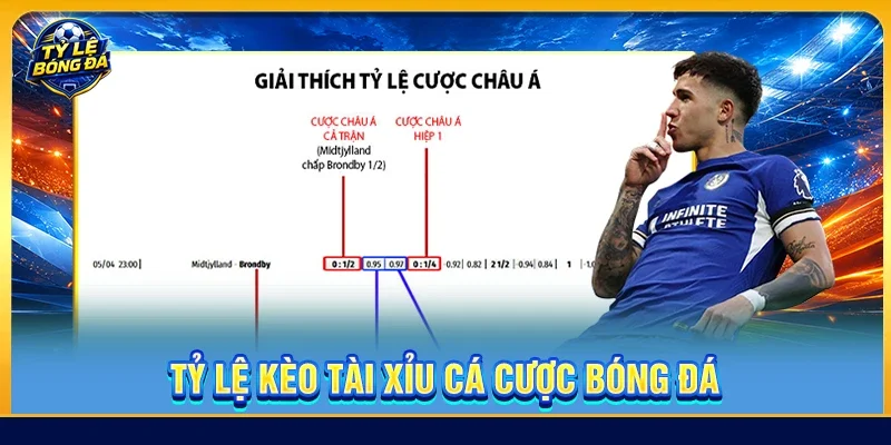 Tỷ Lệ Kèo Tài Xỉu Cá Cược Bóng Đá - Phân Tích Toàn Diện