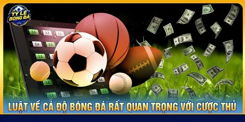 Luật về cá độ bóng đá rất quan trọng đối với cược thủ