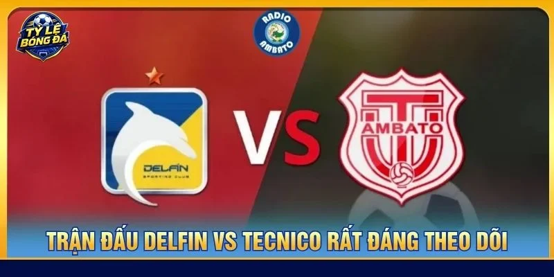 Soi kèo Delfin vs Tecnico là kèo đấu cực đáng xem tại vòng 28