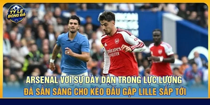 Arsenal với sự dày dặn trong lực lượng đã sẵn sàng cho kèo đấu gặp Lille sắp tới